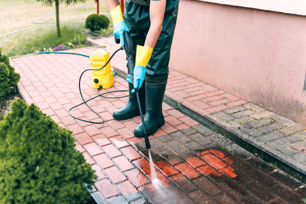 Best Graffiti Removal  in Elmira Heights, NY