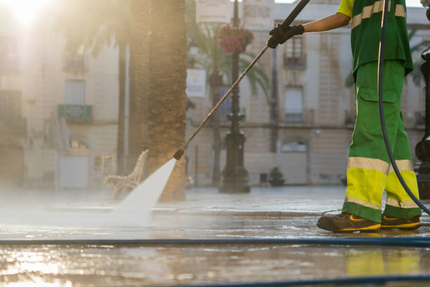 Best Roof Washing  in Elmira Heights, NY